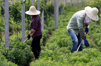 7月30日，河南省中藥材生產(chǎn)工作暨產(chǎn)業(yè)扶貧現(xiàn)場會(huì)在南陽市南召縣成功召開