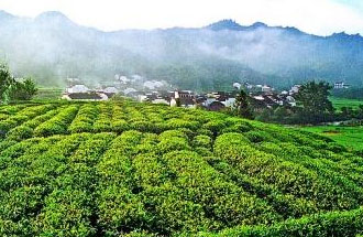 9月2日，財政部、稅務(wù)總局發(fā)布了關(guān)于繼續(xù)執(zhí)行邊銷茶增值稅政策的公告